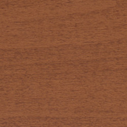 SunKissed Oak 4707
